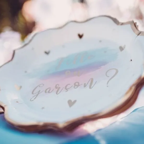 Sale 8 Assiettes En Carton Gender Reveal Theme Gender Reveal