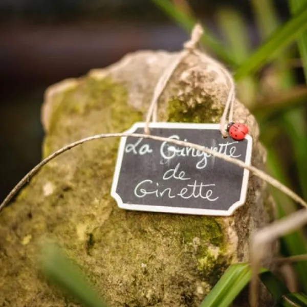 Badaboum 24 Coccinelles En Bois Adh Sives