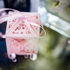 Badaboum 20 Contenants Dragees Cage A Papillon Rose