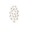 Badaboum 20 Coquillages Naturels Pas Cher Best