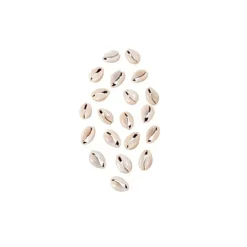 Badaboum 20 Coquillages Naturels Pas Cher Best