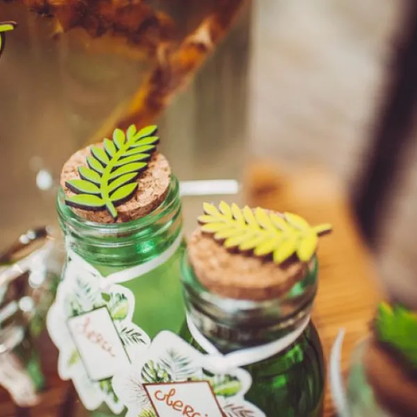 Badaboum 6 Feuilles De Laurier Bois Degrad