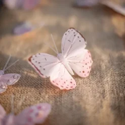Badaboum 10 Papillons Mariage Degrad S Rose