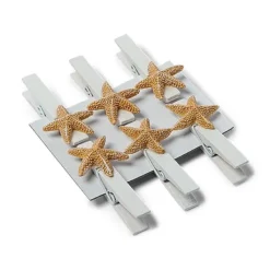 Badaboum 6 Pinces Etoile De Mer Pas Cher Best