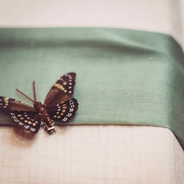 Badaboum 6 Pinces Papillons Chocolat Et Rose