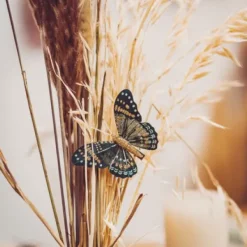 Badaboum 6 Pinces Papillons Vert Et Paillettes Or