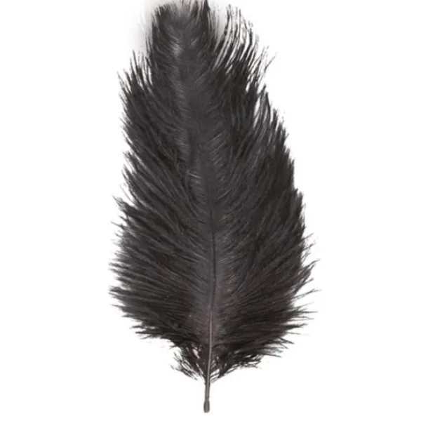 Badaboum 1 Plumes Autruche Noir 55-60 Cm