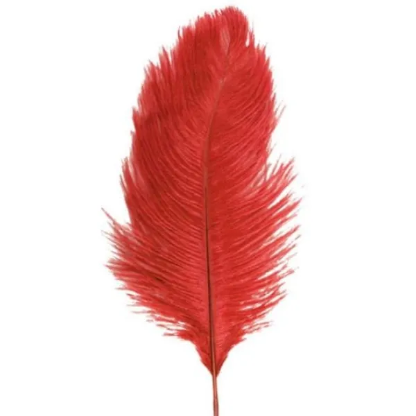 Badaboum 1 Plumes Autruche Rouge 55-60 Cm