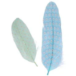 Badaboum 6 Plumes D Co My Lord