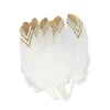 Badaboum 6 Plumes Ethniques Blanc Et Or 18-20Cm