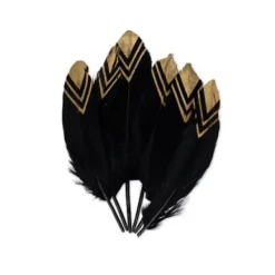 Badaboum 6 Plumes Ethniques Noir Et Or 18-20Cm