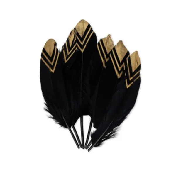 Badaboum 6 Plumes Ethniques Noir Et Or 18-20Cm