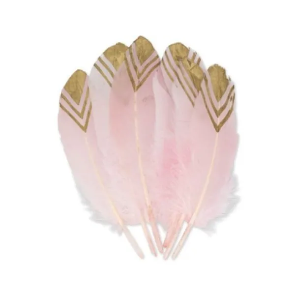 Badaboum 6 Plumes Ethniques Rose Et Or 18-20Cm