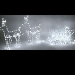 Badaboum 2 Rennes Avec Leur Traineau En 3D 408 Led Hot