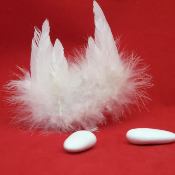 Badaboum Aile D'Ange Plume Blanc
