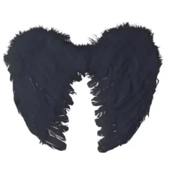 Badaboum Ailes D'Anges En Plumes Noir 40 X 32 Cm