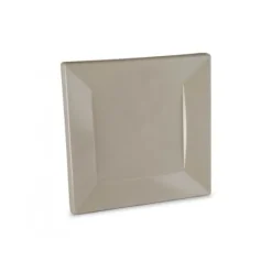 Sale Assiette Carr E Plastique Rigide Taupe R Utilisable 18Cm X 12 Theme Eco-Responsable