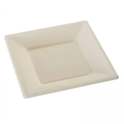 Outlet Assiette Carr E Plastique Ecru R Utilisable 23Cm X12 Theme Eco-Responsable