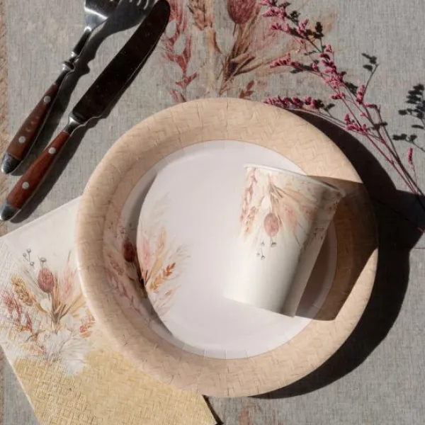 Badaboum Assiette En Carton Romance X 10 Pi Ces