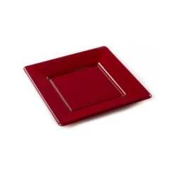 Clearance Assiette En Plastique Carr E Bordeaux R Utilisable 18Cm X 12 Pi Ces Theme Eco-Responsable