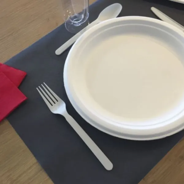 Outlet Assiette Ronde Blanche Canne A Sucre 23Cm X 25Pi Ces Theme Eco-Responsable