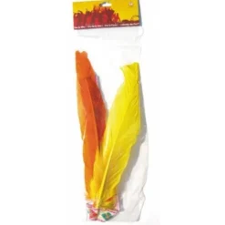 Badaboum Bandeau Indien 2 Plumes