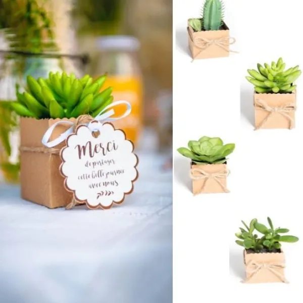 Badaboum Boite A Dragees Kraft Mexique