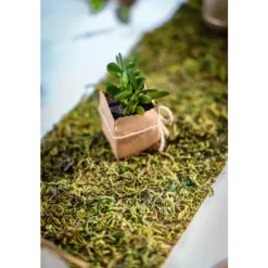 Badaboum Boite A Dragees Kraft Mexique