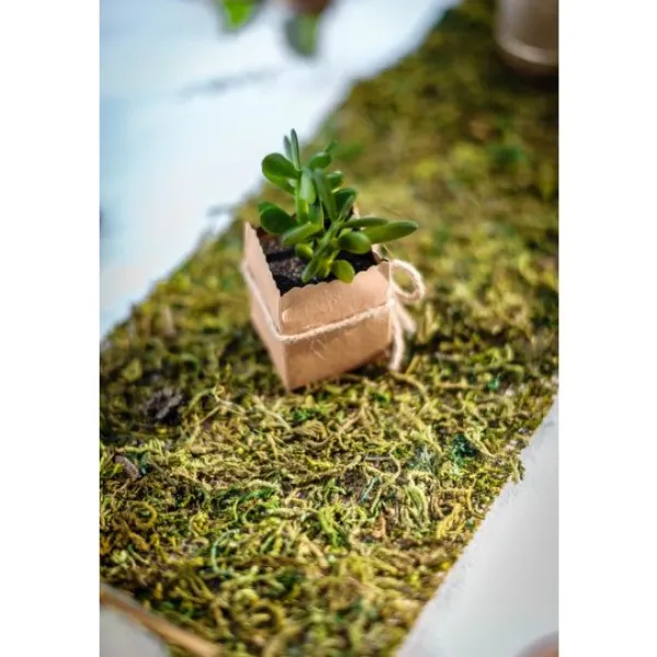 Badaboum Boite A Dragees Kraft Mexique