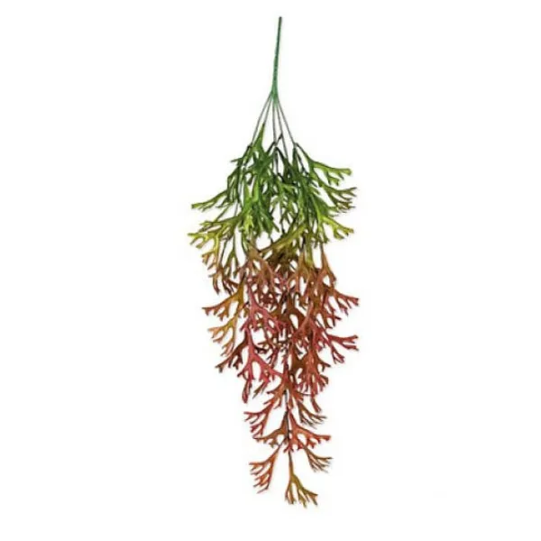 Badaboum Branche D'Algues Degrade Vert Et Rouge 80Cm Sale