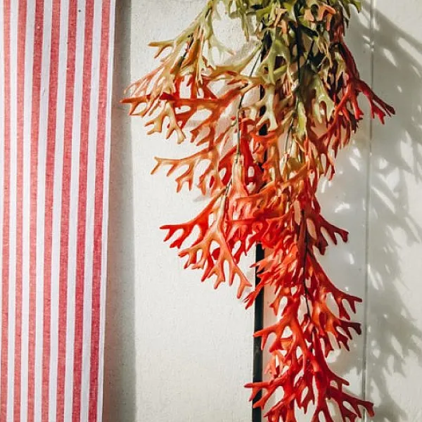 Badaboum Branche D'Algues Degrade Vert Et Rouge 80Cm Sale