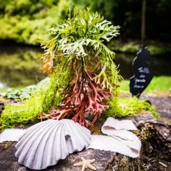 Badaboum Branche D'Algues Degrade Vert Et Rouge 80Cm Sale