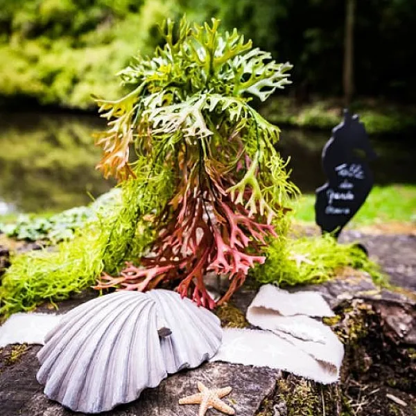 Badaboum Branche D'Algues Degrade Vert Et Rouge 80Cm Sale