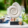 Badaboum Centre De Table Coquillage Escargot Sur Socle New