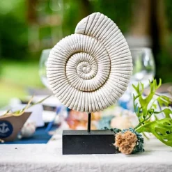 Badaboum Centre De Table Coquillage Escargot Sur Socle New