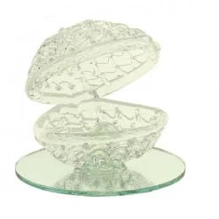 Badaboum Coquillage Dragees En Verre Socle Miroir Best