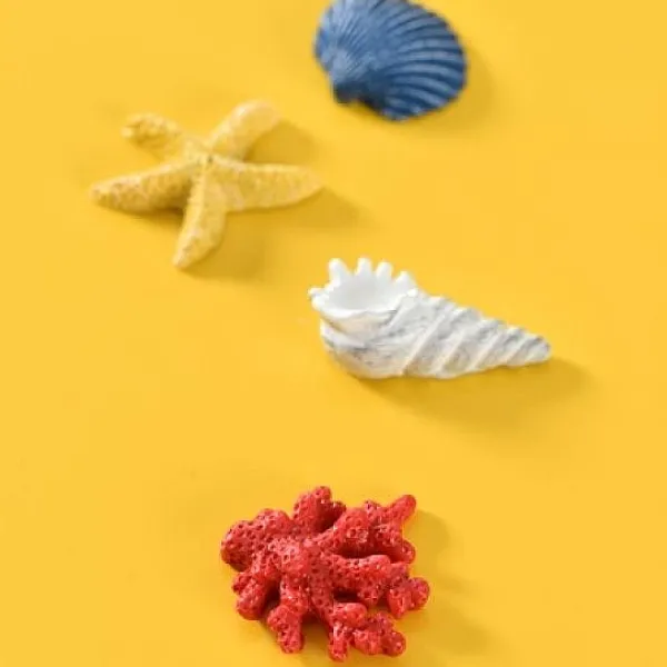 Badaboum Coquillage Pour Decoration De Table Mariage X 8 Pi Ces