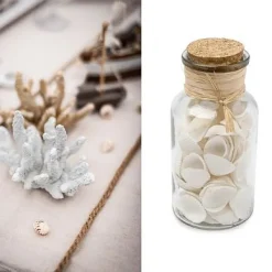 Badaboum Coquillages Décoratifs En Flacon 13Cm New