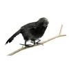 Badaboum Corbeau Plumes 18 Cm
