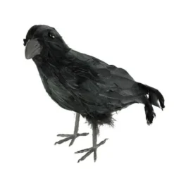 Badaboum Corbeau Plumes 32 Cm