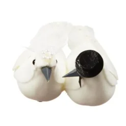 Hot Couple De Colombe Plume Noir Et Blanc Theme Colombe