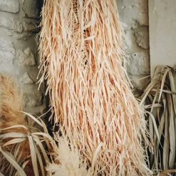 Badaboum Déco Feuille De Raphia Naturel New