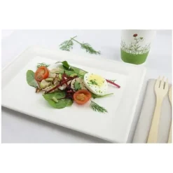 Outlet Grand Plateau Blanc En Fibre De Canne A Sucre X 10 Pi Ces Theme Eco-Responsable