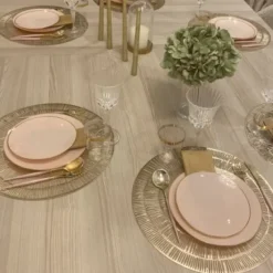 Sale Lot De 16 Assiettes Plastique R Utilisables Gourmet Rose Theme Eco-Responsable