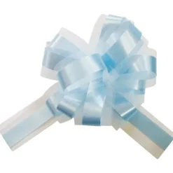 Badaboum Lot De 5 Grands Noeuds En Tulle Bleu Ciel 50Mm Online