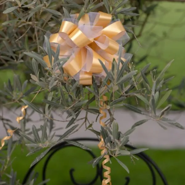 Badaboum Lot De 5 Grands Noeuds En Tulle Orange 50Mm Discount