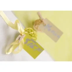 Clearance Mini Pince Linge Mariage Noire X 24 Pi Ces Theme Cinema