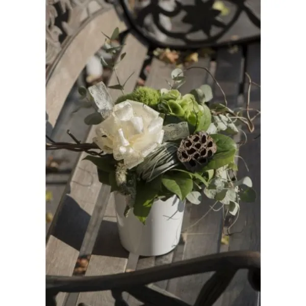 Badaboum Noeud Automatique Fa On Dentelle Blanc X 5 Pi Ces Hot