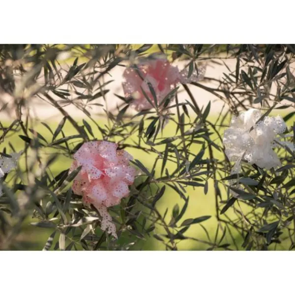 Badaboum Noeud Automatique Fleur Blanc X 5 Pi Ces Sale