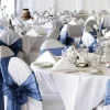 Badaboum Noeud De Chaise Mariage En Organza Bleu Marine Hot